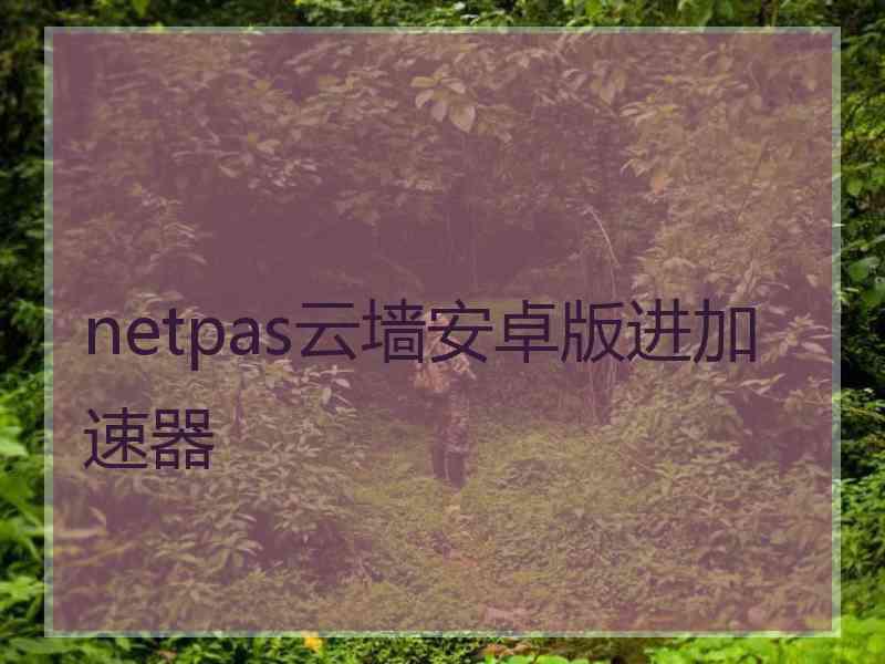 netpas云墙安卓版进加速器