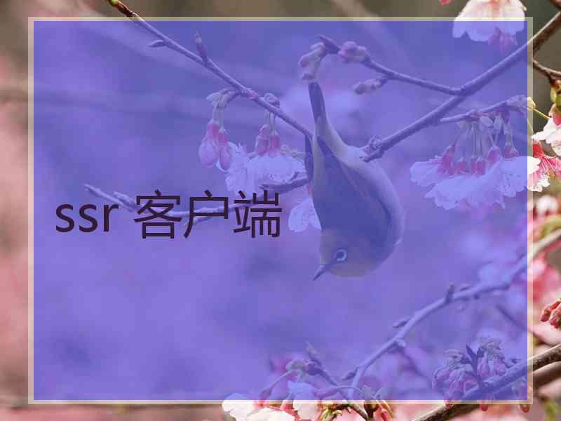 ssr 客户端