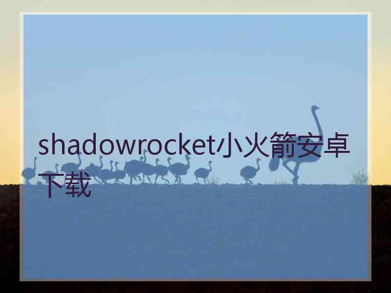 shadowrocket小火箭安卓下载