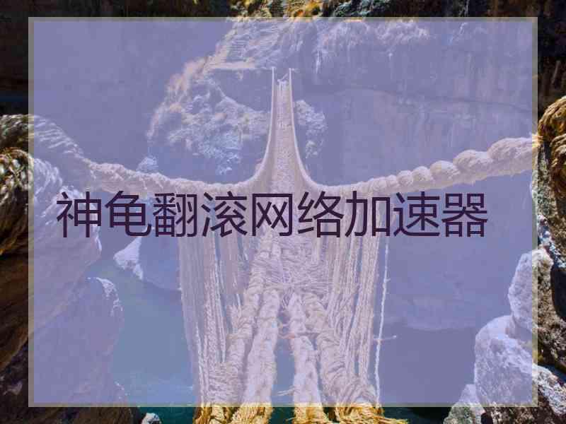 神龟翻滚网络加速器