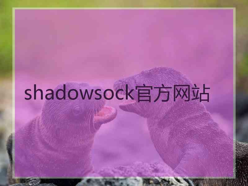 shadowsock官方网站