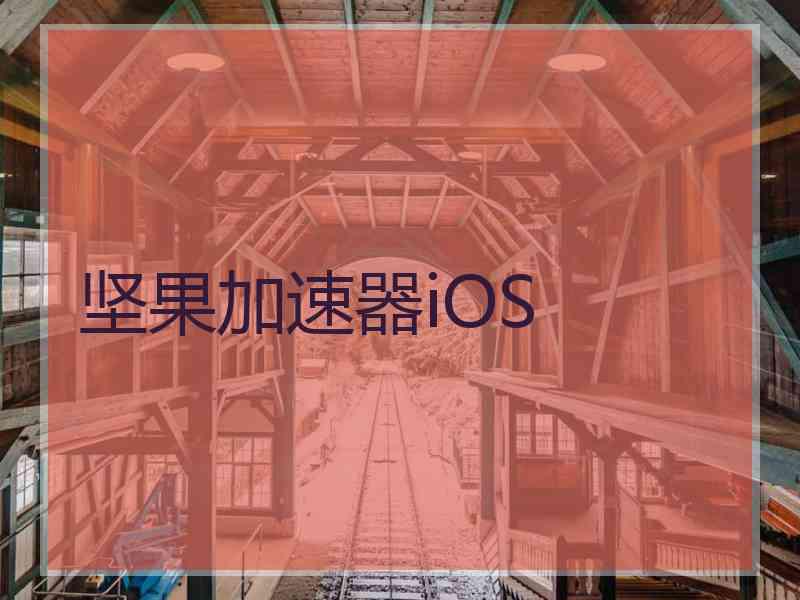 坚果加速器iOS