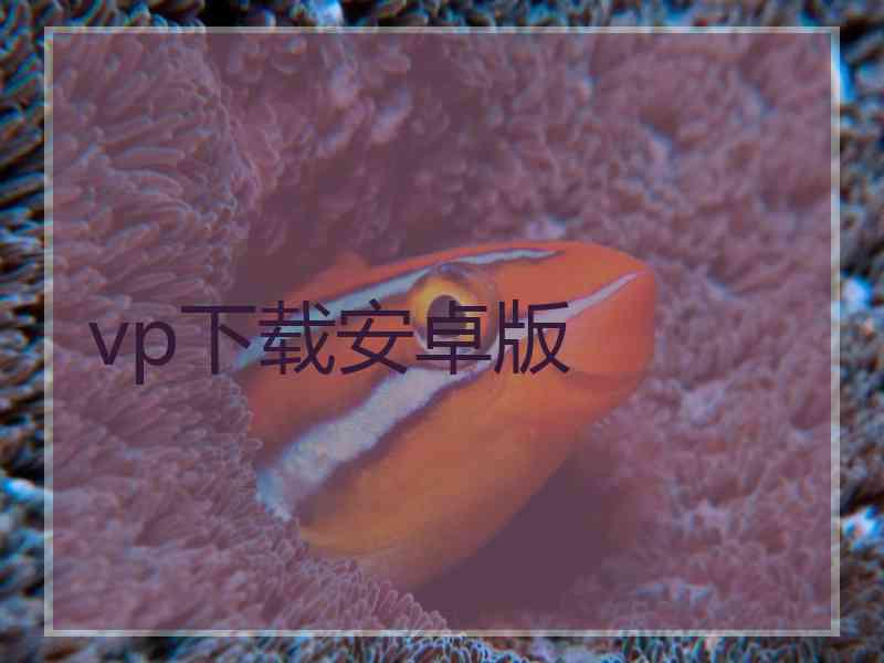 vp下载安卓版