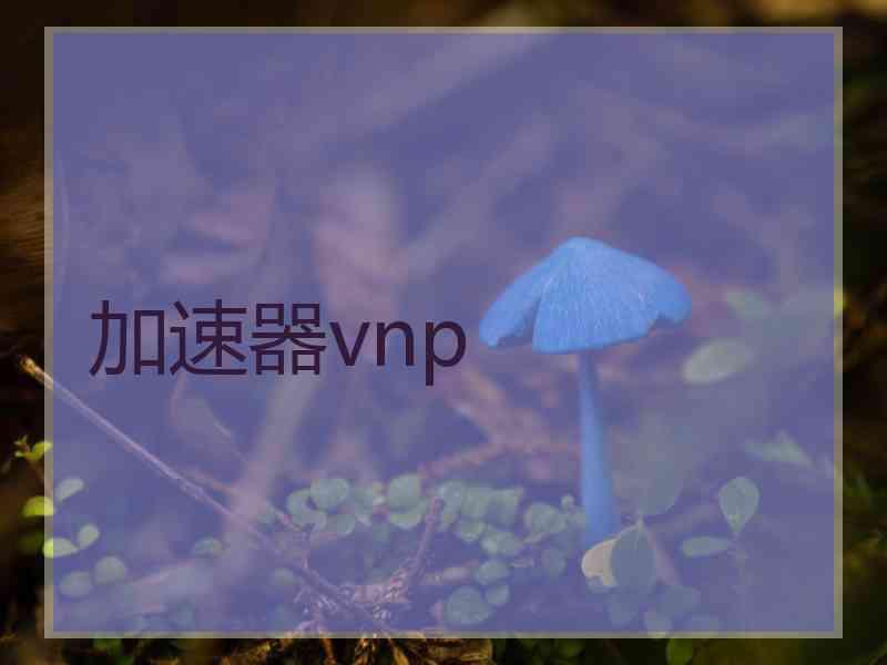 加速器vnp