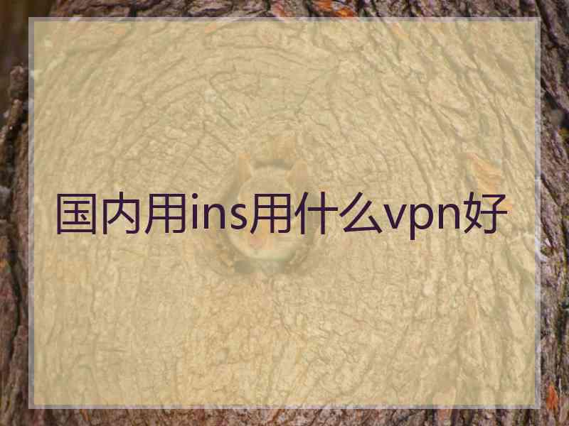 国内用ins用什么vpn好