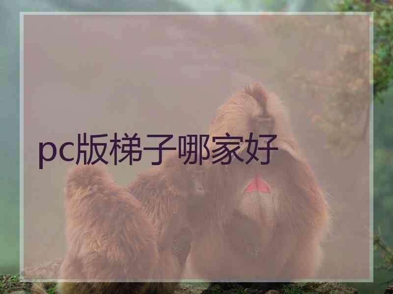 pc版梯子哪家好