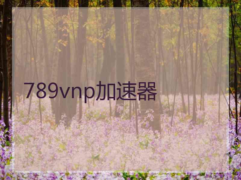 789vnp加速器