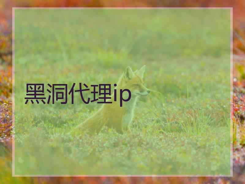 黑洞代理ip