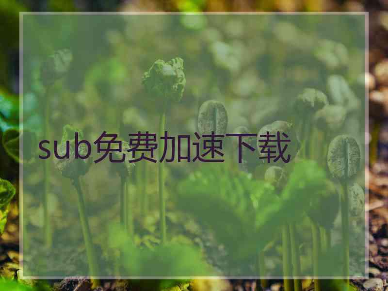 sub免费加速下载