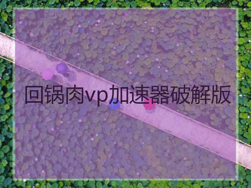 回锅肉vp加速器破解版